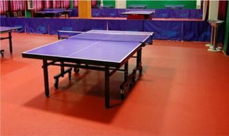 pvc塑膠地板塑膠地板 運(yùn)動(dòng)地板高規(guī)格防滑耐磨