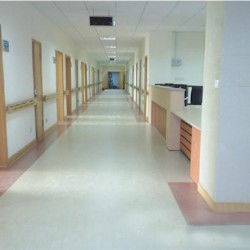 門(mén)診用pvc塑膠地板批發(fā) 門(mén)診用pvc塑膠地板批發(fā)價(jià)格 門(mén)診用pvc塑膠地板批發(fā)廠家