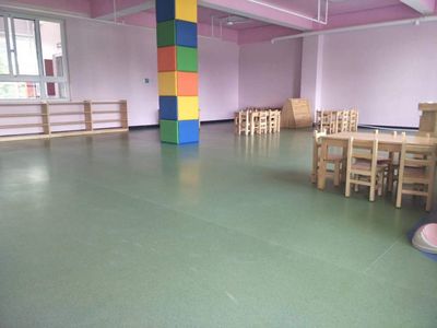 廣西幼兒園PVC地膠室內(nèi)鋪裝 為孩子打造安全舒適的成長(zhǎng)空間